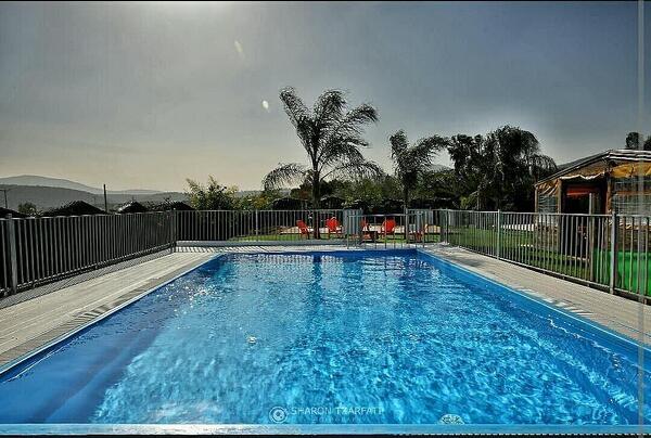 סופת הכלניות